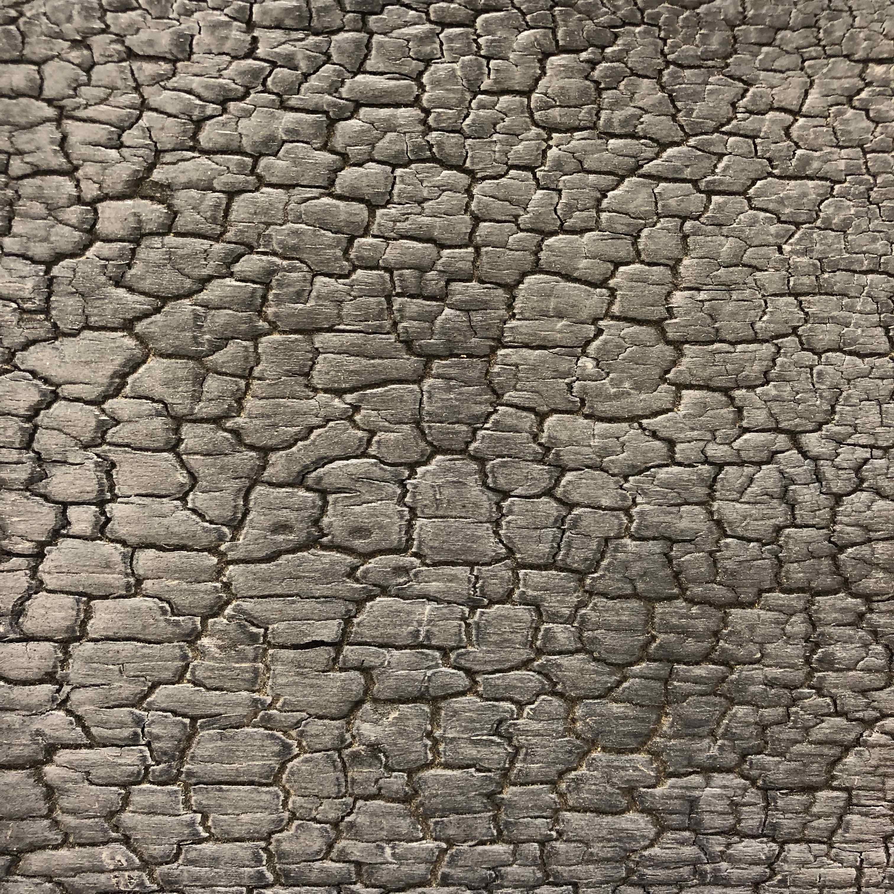 Cinder Ash Cinder Ash